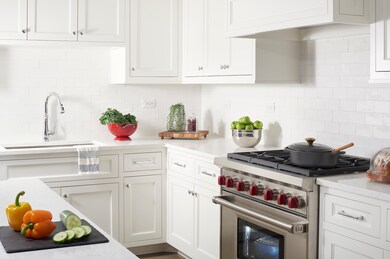 195 N Addison Ave unit 301, Elmhurst, IL 60126 - photo 6