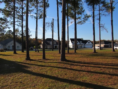 85 Cobblestone Blvd SE, Moultrie, GA 31788 - photo 4