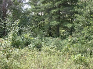 435* Pine St, Harrison, MI 48625 - photo 2