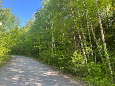 0 Baldwin Ave unit 7 4911642, New Hampton, NH 03256 - photo 4