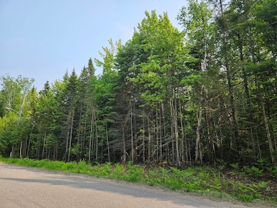 0 W Cedar Dr unit 24-1105, Sault Ste Marie, MI 49783 - photo 4