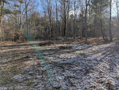 702 East St, Oneonta, NY 13820 - photo 2