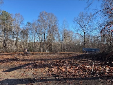 1028 Raccoon Run Ln, Jonesville, NC 28642 - photo 4