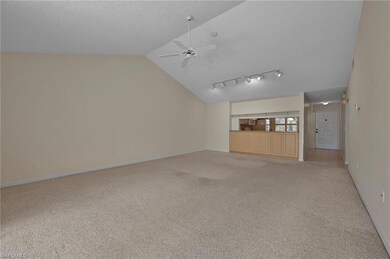 Big, Wide Great Room with Vaulted Ceilings, Extra Storage