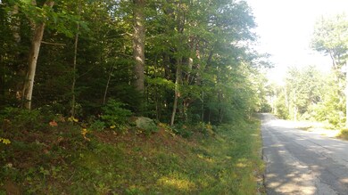 Lot 9 Hopper Rd, Acton, ME 04001 - photo 7