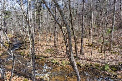 Property is Primarily Wooded
