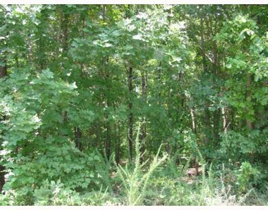 0 Ilford (Lot 23) Ln unit 549726, Bella Vista, AR 72714 - photo 3