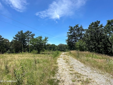 0 Rd unit 4082154, Coldwater, MS 38618 - photo 2