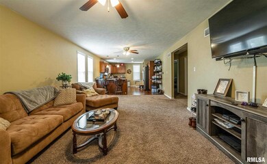 724 Decatur St, Lincoln, IL 62656 - photo 2