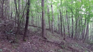 20150803_180003 (800x450)