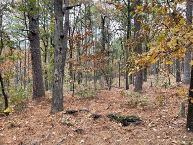 Unit 156 Rd, Moyers, OK 74523 - photo 4