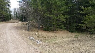 Lot 2 Wood Tick Ln, Tomahawk, WI 54487 - photo 5