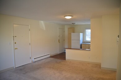 41 Lionel Ave unit D, Waltham, MA 02452 - photo 6