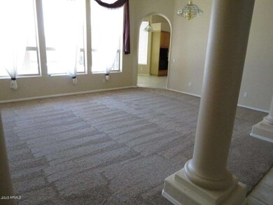 Brand New Carpet
