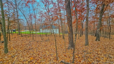 Lot #274 Grand Point Blvd, Jasper Township, MO 65079 - photo 6
