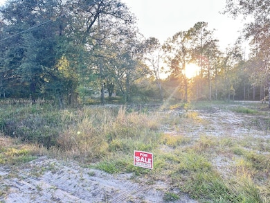 9855 Light Ave, Saint Augustine, FL 32145 - photo 3