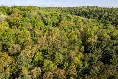 0 Township Road 3292, Hanover Township, OH 44842 - photo 6