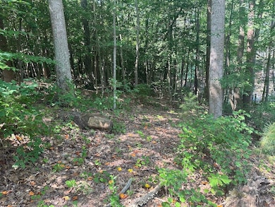 00 Rivendell Rd, Denver, NC 28037 - photo 5