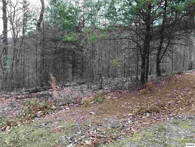 0 Lot 5-E Stackstone Rd, Sevierville, TN 37862 - photo 4
