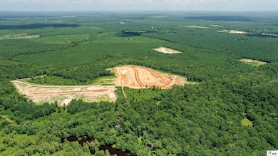 0 Longfield Rd, Sterlington, LA 71280 - photo 4