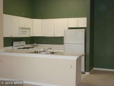 400 Plumbridge Ct unit 301, Lutherville Timonium, MD 21093 - photo 3