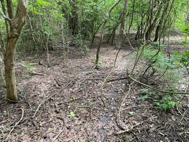 6304 Septimo St, Brazoria, TX 77422 - photo 2