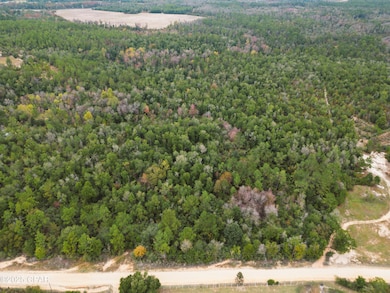 0000 Highview Cir, Chipley, FL 32428 - photo 6