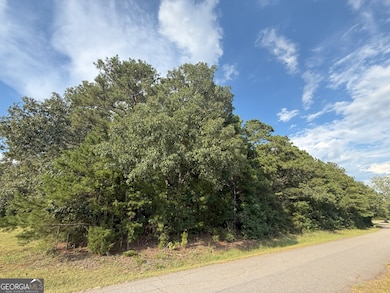 1 Bunch Rd, Tignall, GA 30668 - photo 5
