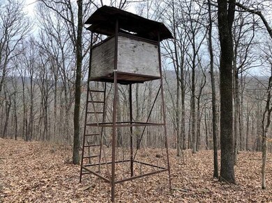 0 Bunyard Rd, Winslow Township, AR 72959 - photo 7