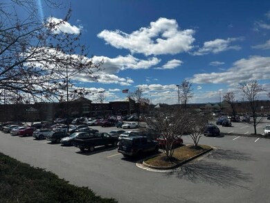 Tract 20B Apron Rd, Hardy, VA 24101 - photo 7