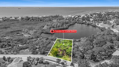 0 Seaview Dr unit MFRTB8428721, Crystal Beach, FL 34681 - photo 5