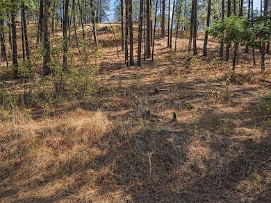 TBD Raven Ridge, Nine Mile Falls, WA 99026 - photo 7