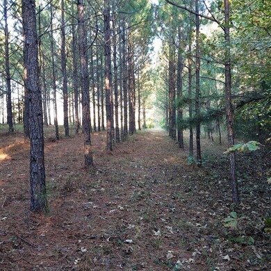 2 Trails