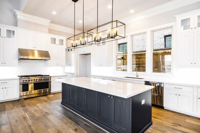 Island kitchen with Quartz couters and Fisher-Payk