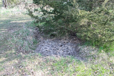 000 300th St, Coon Rapids, IA 50058 - photo 7