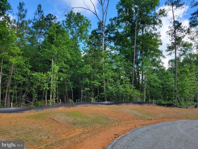 00 Watkins Mill Rd - Lot 28, Midlothian, VA 23113 - photo 5