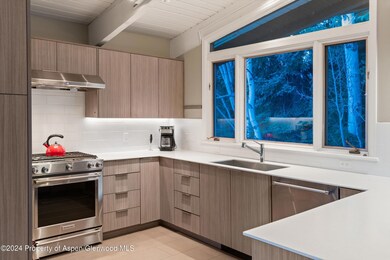 1650 Homestake Dr, Aspen, CO 81611 - photo 7