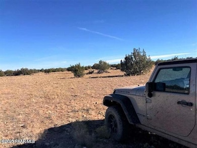 9800 W Boiling Pot Rd, Ash Fork, AZ 86320 - photo 2