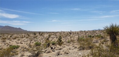 000 Bluepoint Dr, Meadview, AZ 86444 - photo 4