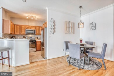 502 Mathias Hammond Way unit 204, Annapolis, MD 21401 - photo 6