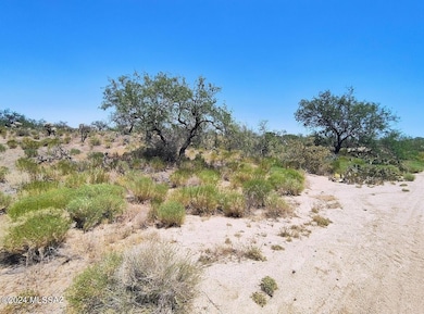 13471 Bruckner Ave unit 416, Tucson, AZ 85736 - photo 4