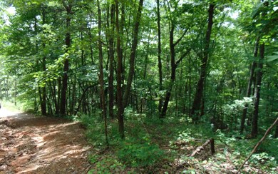 Additional View