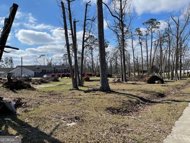 0 E Spring St, Mount Vernon, GA 30445 - photo 7