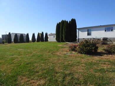 225 Log Cabin Ln, Ewing, KY 41039 - photo 6