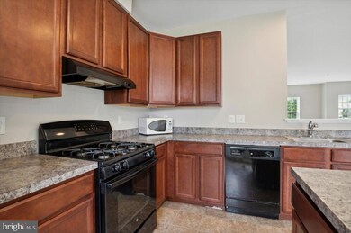 101 Russell Ln, Newark, DE 19711 - photo 3