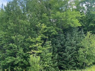 On Pixley Shores Rd, Fifield, WI 54524 - photo 3