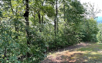 LOT 9 Wolfpen Gap Sub, Hiawassee, GA 30546 - photo 3