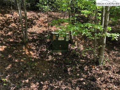 225 Deer Run, Purlear, NC 28665 - photo 7