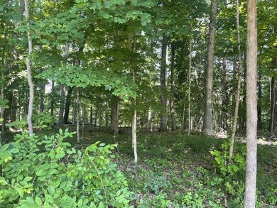 0 Laurel Crown Rd, Manchester, TN 37355 - photo 5