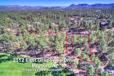 Grapevine Property Lines 2
